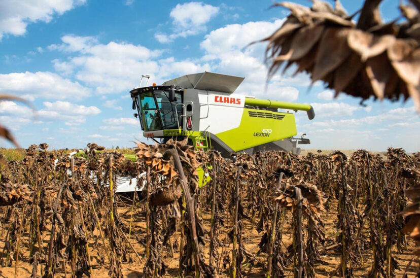 claas cosecha girasol pymes agropecuarias