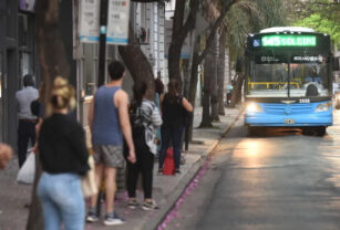 colectivo semana santa