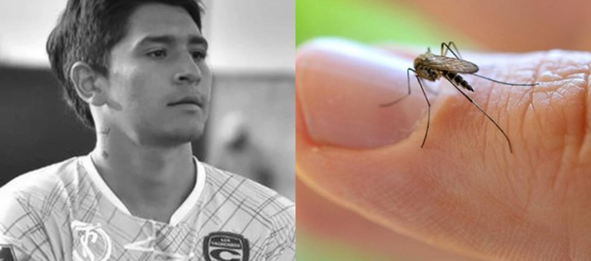 dengue