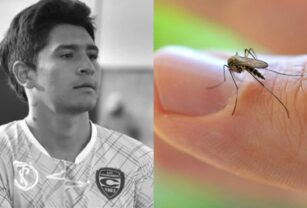 dengue