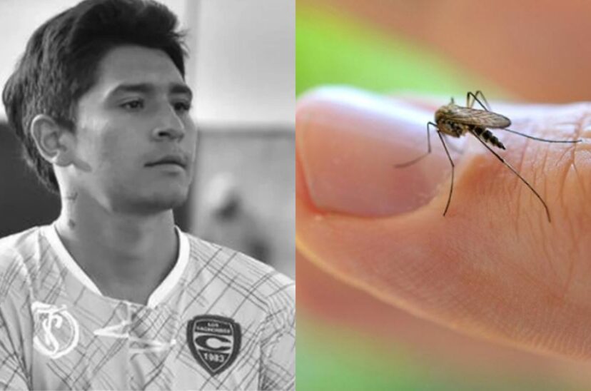 dengue