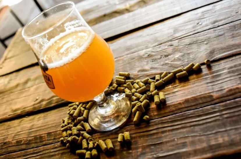 cerveza artesanal