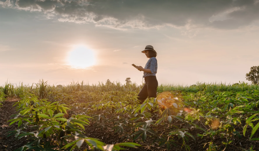 financiación digital mujer campo agro rindes históricos AgTech agro