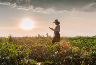 financiación digital mujer campo agro rindes históricos AgTech agro