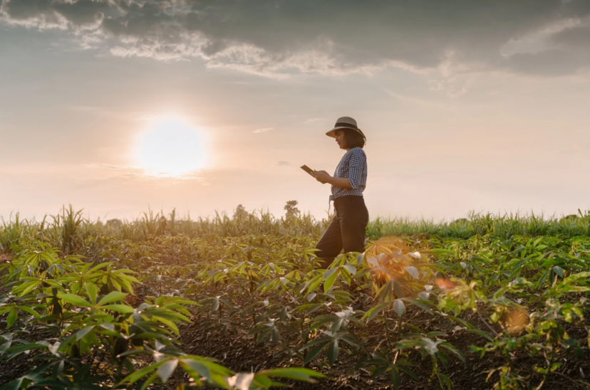 financiación digital mujer campo agro rindes históricos AgTech