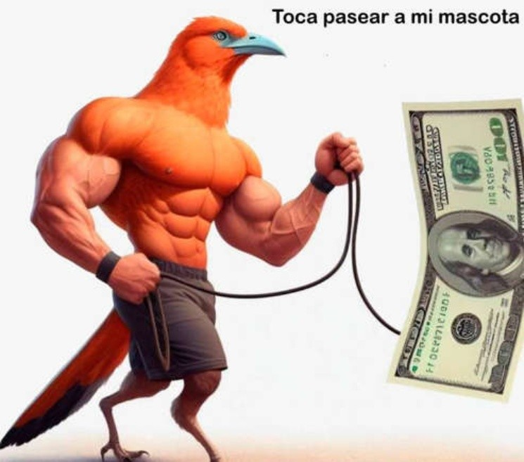 Meme dólar blue