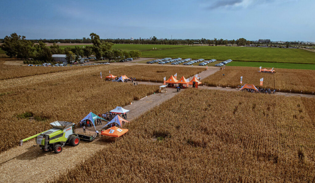 maíz y sorgo kws 9 de julio