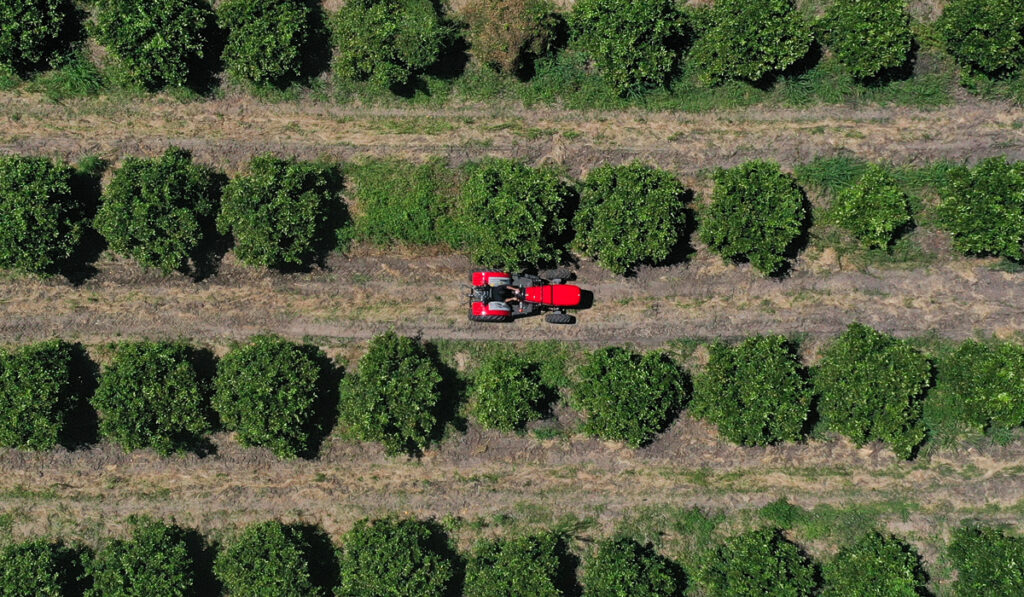 Massey Ferguson tractores compactos
