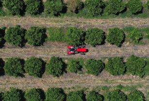 Massey Ferguson tractores compactos