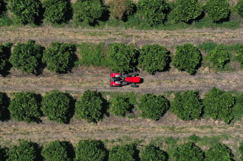 Massey Ferguson tractores compactos