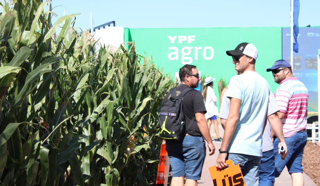 miradas de Expoagro
