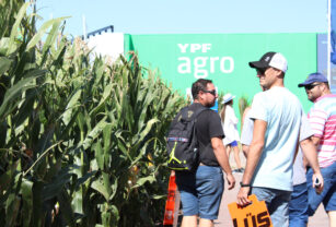 miradas de Expoagro