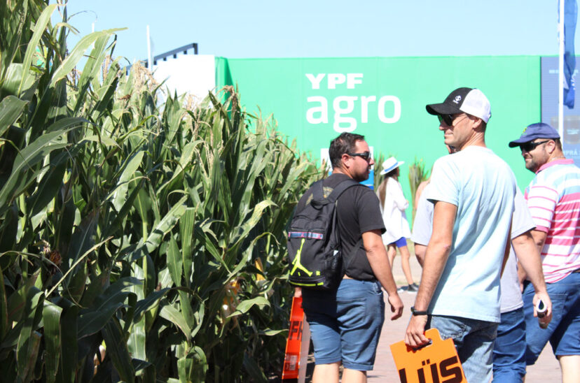 miradas de Expoagro