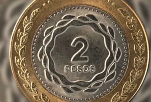 moneda $2