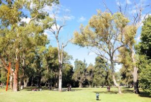 El parque donde la joven murió mientras corría.