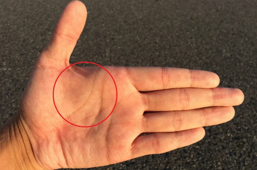 mano