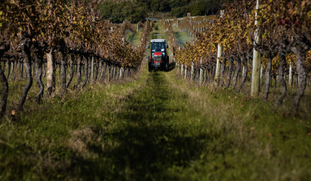 tractor massey ferguson economías regionales frutas leasing