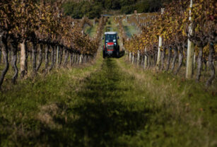 tractor massey ferguson economías regionales frutas leasing