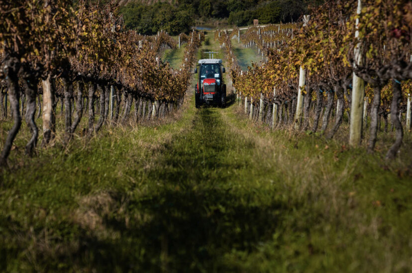 tractor massey ferguson economías regionales frutas leasing