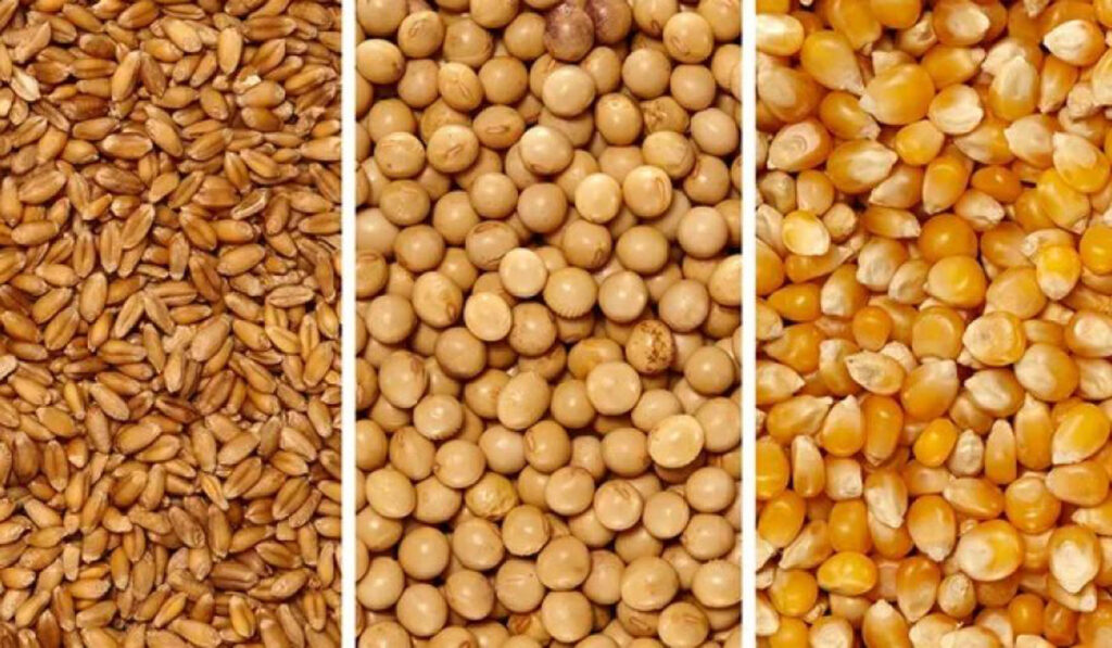 trigo soja maíz vender producción