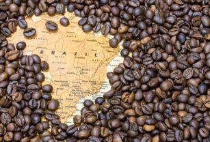 Café Brasil