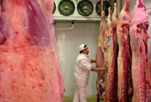 Carne