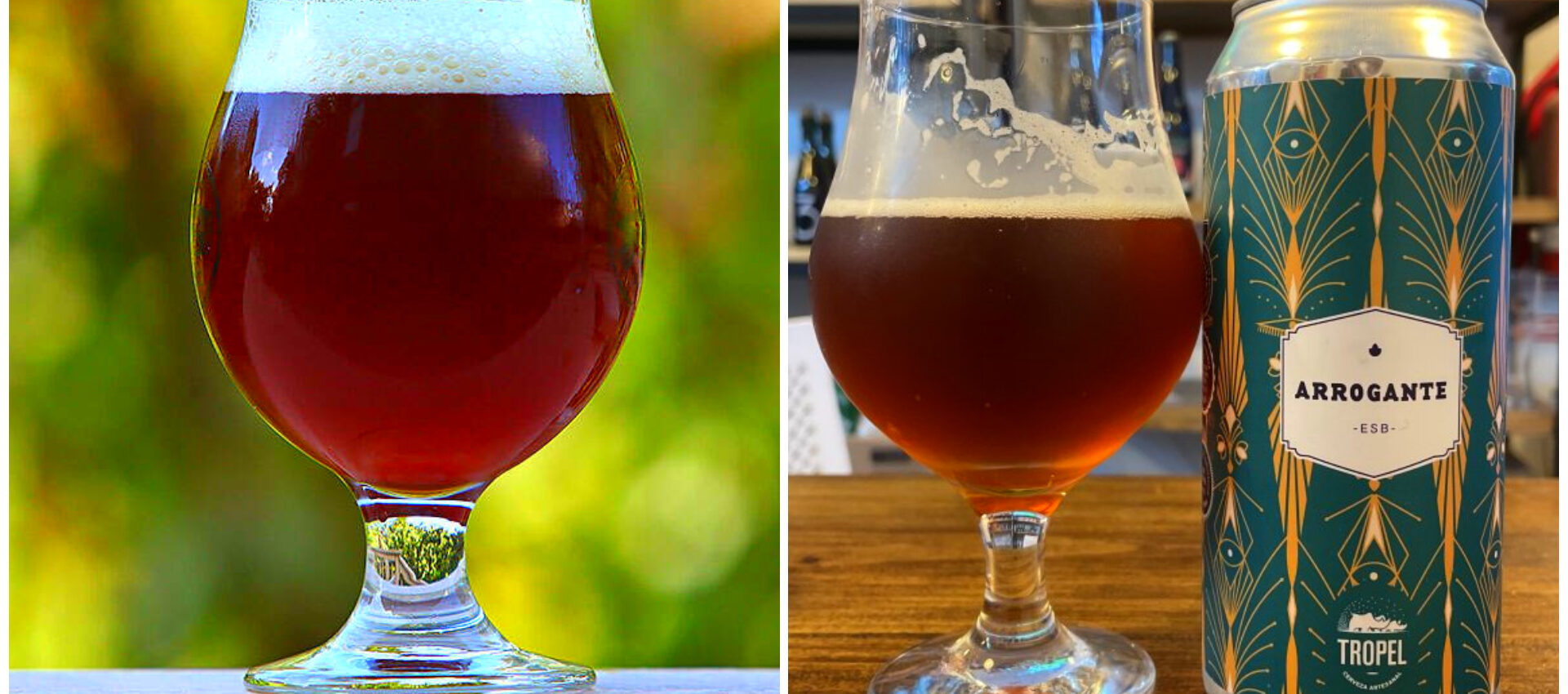 Cerveza Artesanal