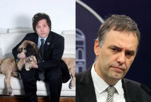 Adorni perros