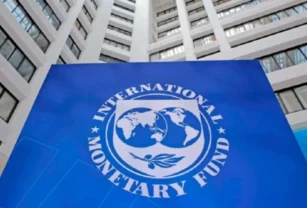 FMI argentina