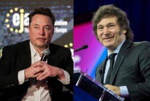 Milei Musk