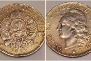 Moneda Patacón