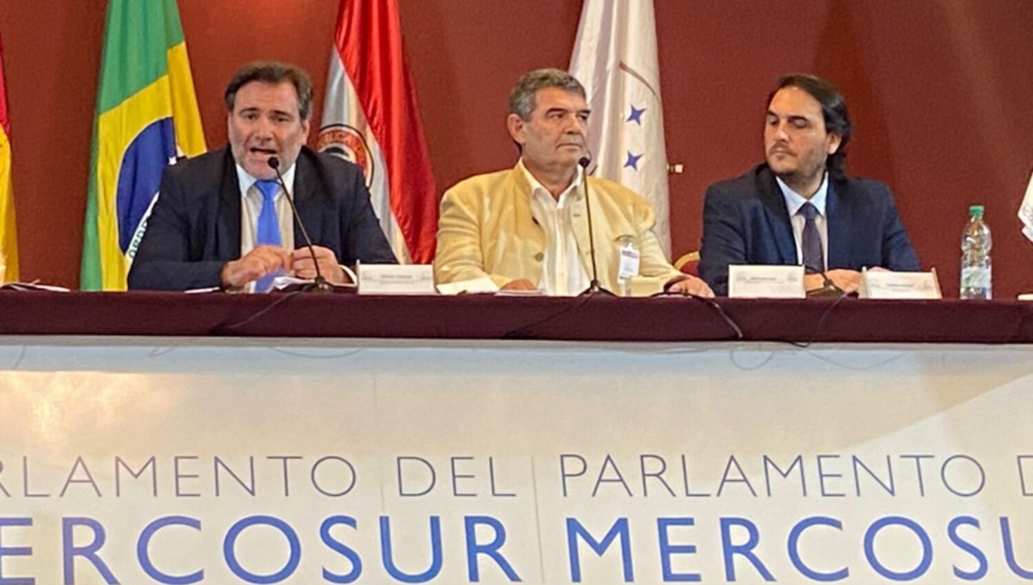 Parlasur Olmedo