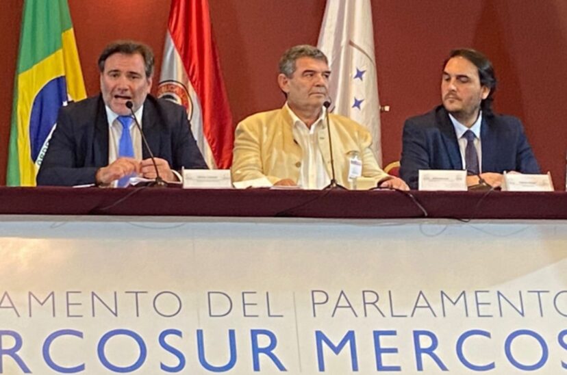 Parlasur Olmedo