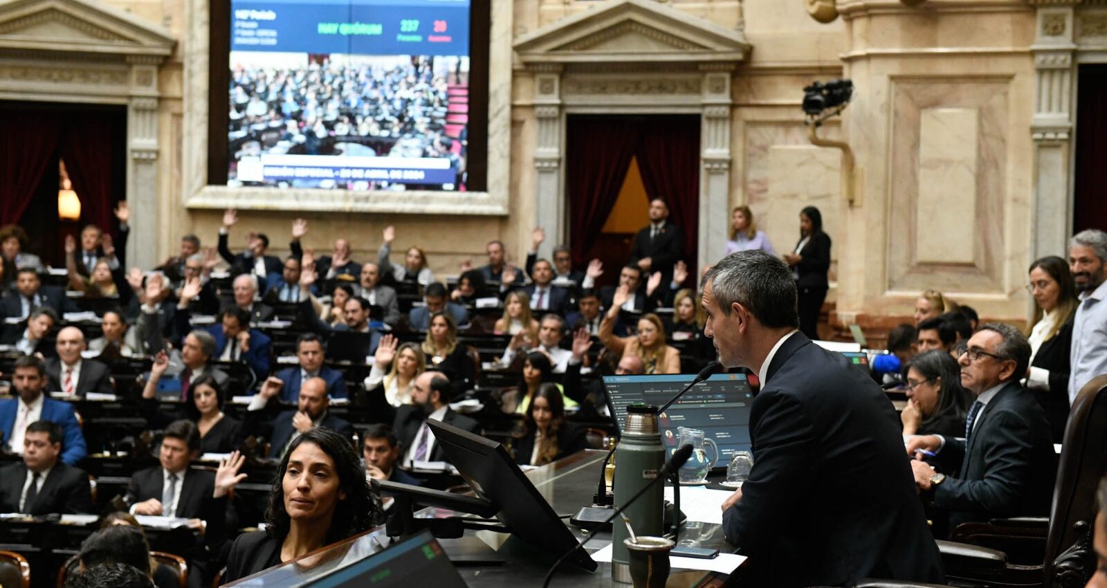 diputados ley bases