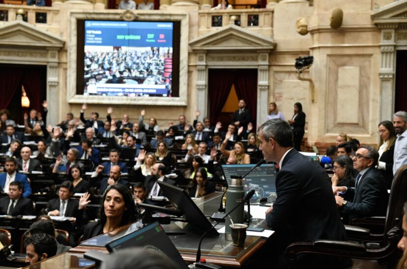 diputados ley bases