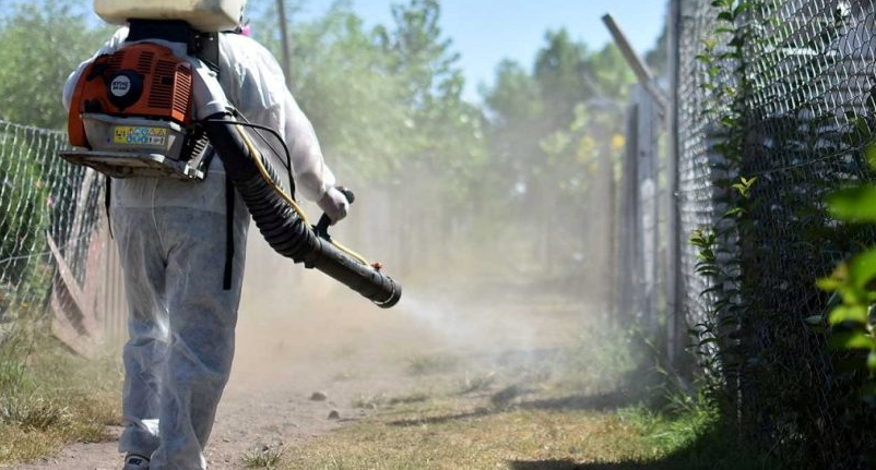 fumigación dengue