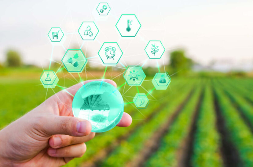 ingeniería agronómica uca