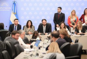 ley bases diputados