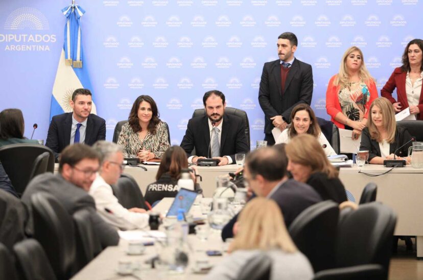 ley bases diputados