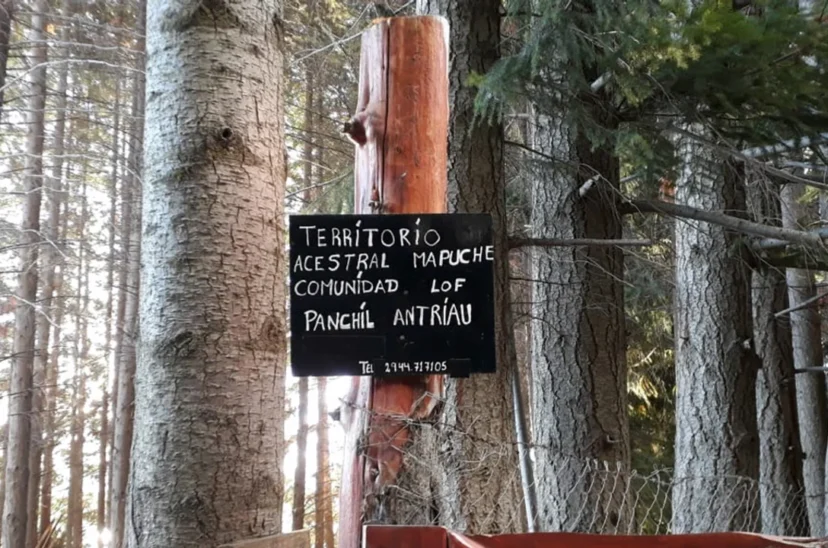 mapuche