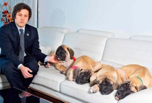milei perros