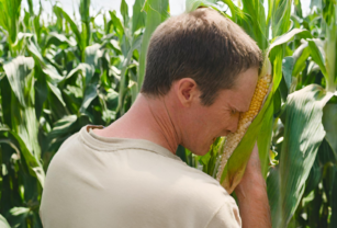 agroempresas maíz