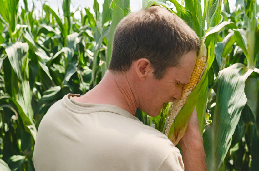 agroempresas maíz