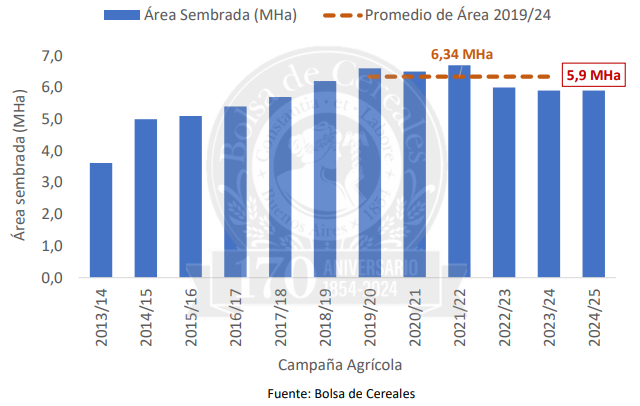 trigo siembra campañas
