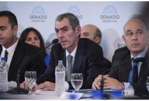 Ley Bases plenario Senado