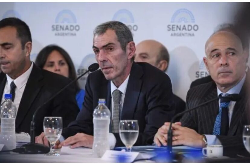 Ley Bases plenario Senado