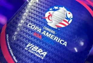 álbum figuritas copa américa