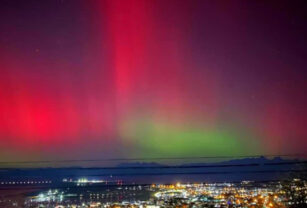 aurora austral