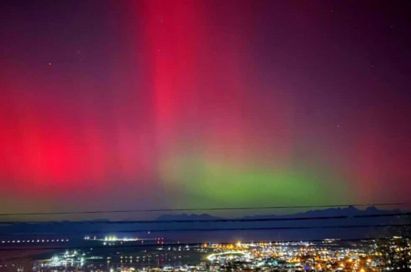 aurora austral