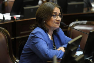 ley bases lucia corpacci